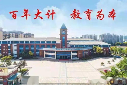 小萌新上学记第六七周——在横塘中心小学的校园生活纪实