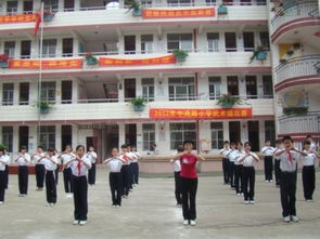 南宁市西乡塘区学区划分与对口教育资源详解