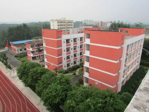 拓展绿色成长空间，提速乡村小学发展 南宁市中兴小学教育集团四塘校区与丹阳市横塘中心小学荣获“绿色学校”称号的启示