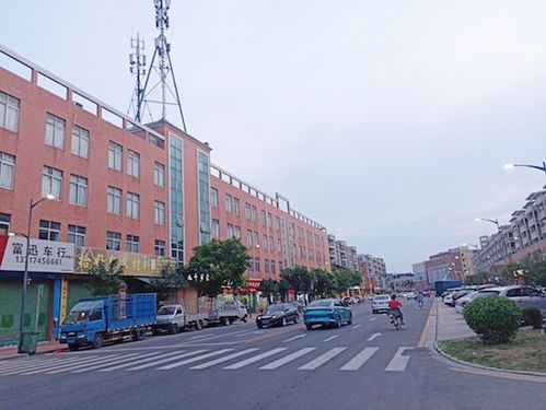 村改蝶变绘新景，童心筑梦启未来——从佛山顺德仙塘村改看乡村教育振兴